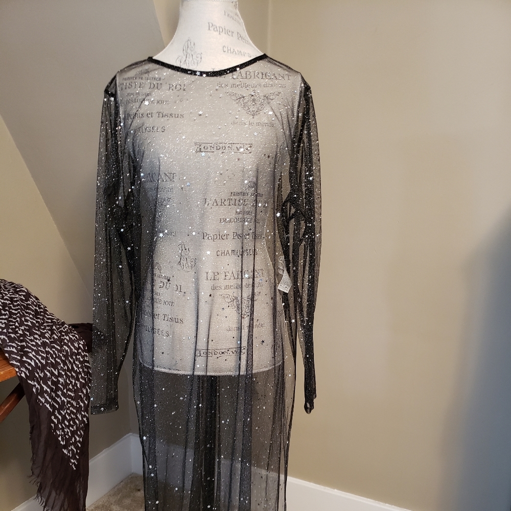 Forever 21 Sheer Dress